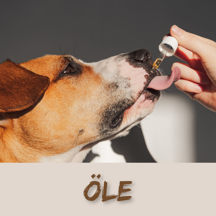 Öle
