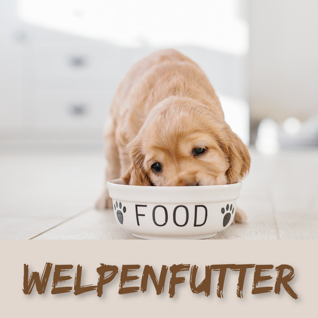Welpenfutter
