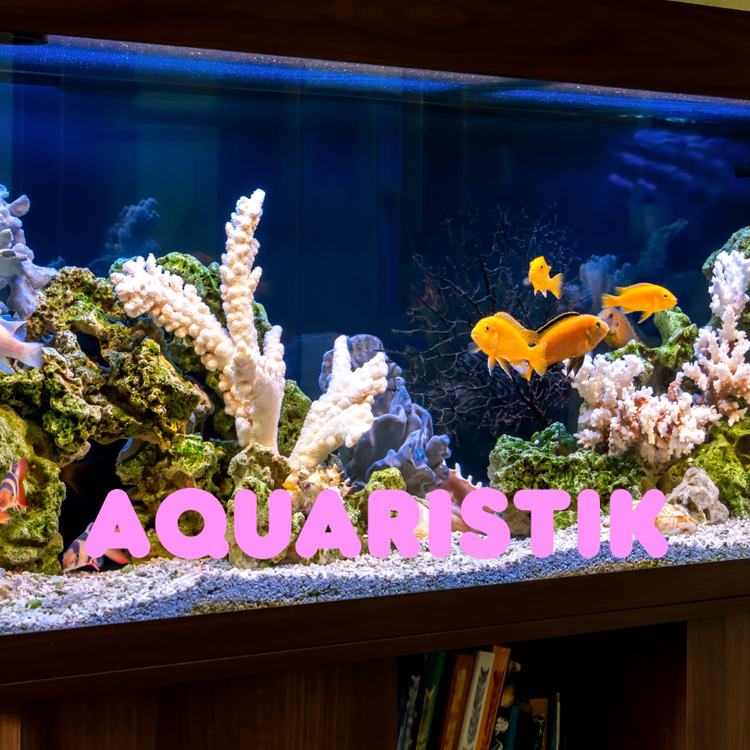 Aquaristik