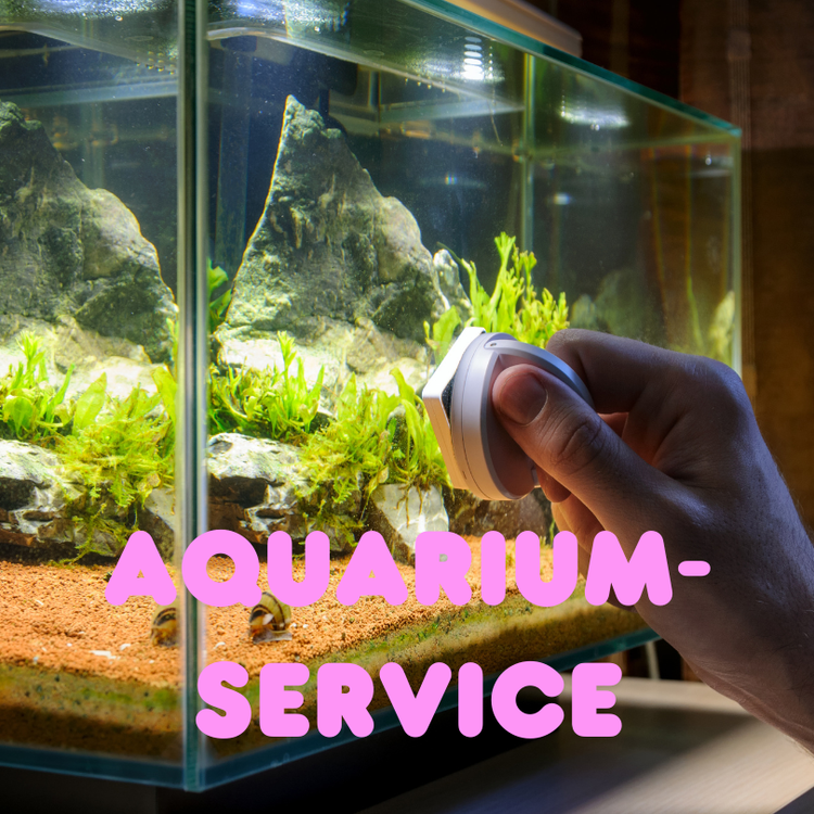 Aquariumservice