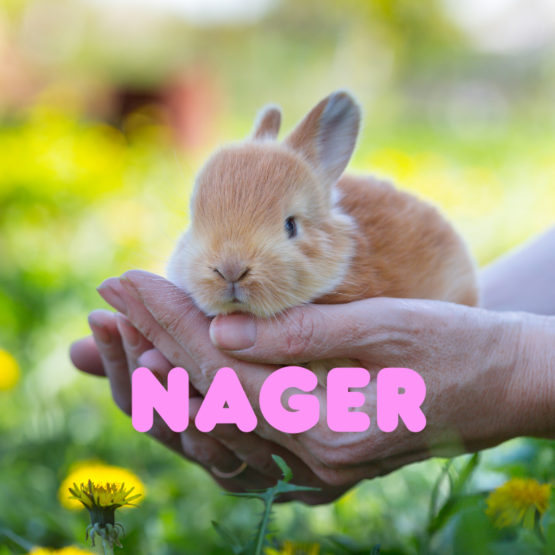 Nager