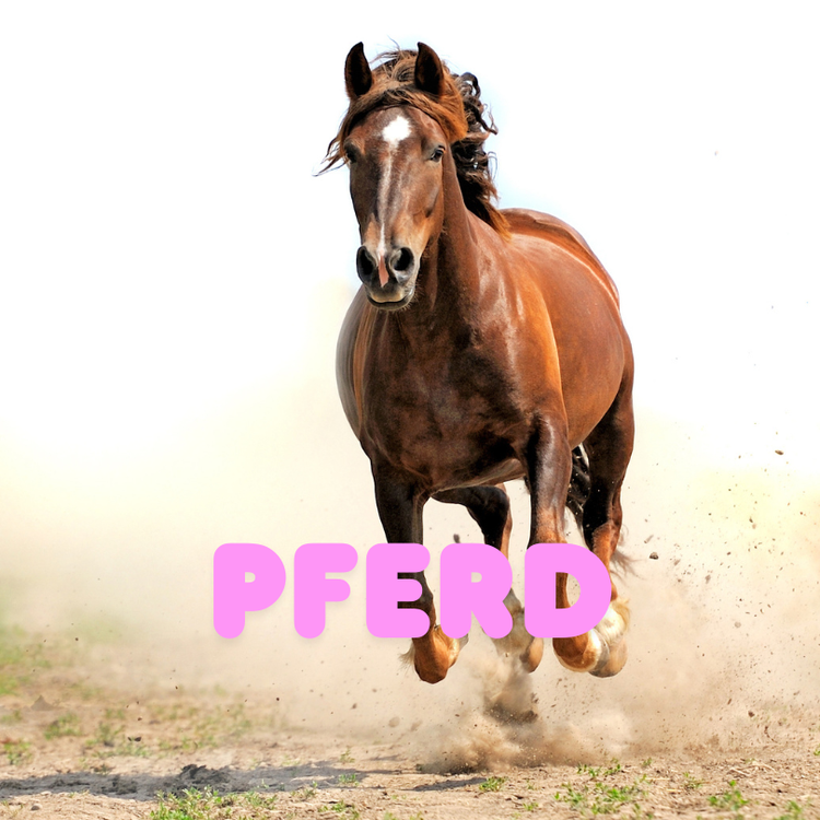 Pferd