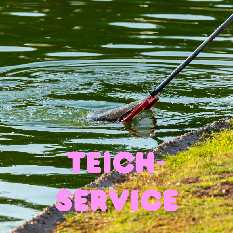 Teichservice