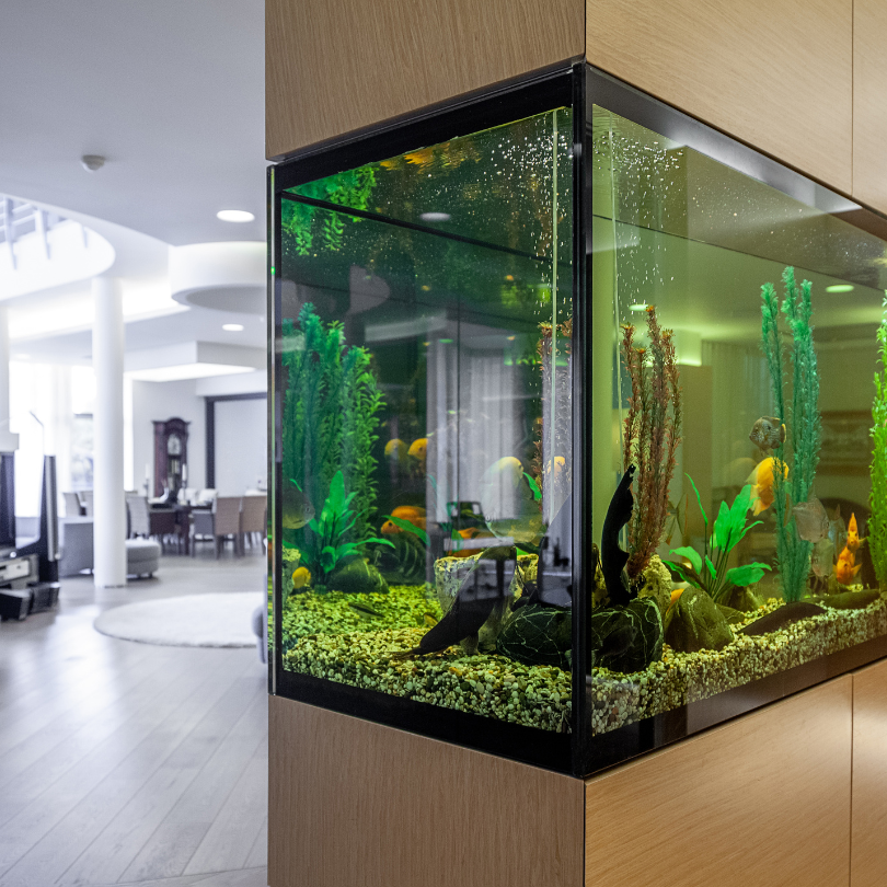 Aquascapingkurs mit Adrie Baumann 07.11.2026