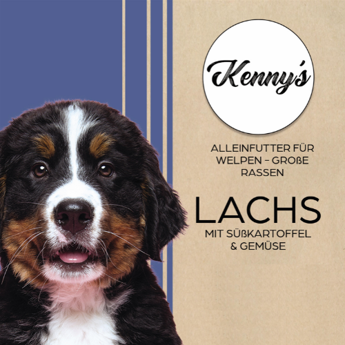 Kenny´s LACHS & Süßkartoffel mit Gemüse
