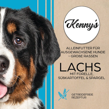 Kenny´s LACHS mit Forelle & Süßkartoffel