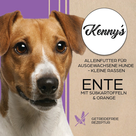 Kenny´s ENTE mit Süßkartoffel & Orange