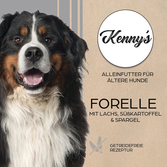 Kenny´s FORELLE mit Lachs & Süßkartoffel