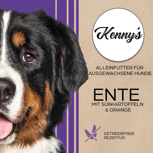 Kenny´s ENTE mit Süßkartoffel