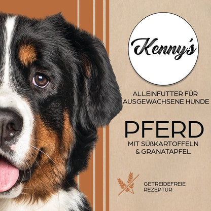 Kenny´s PFERD & Süßkartoffel